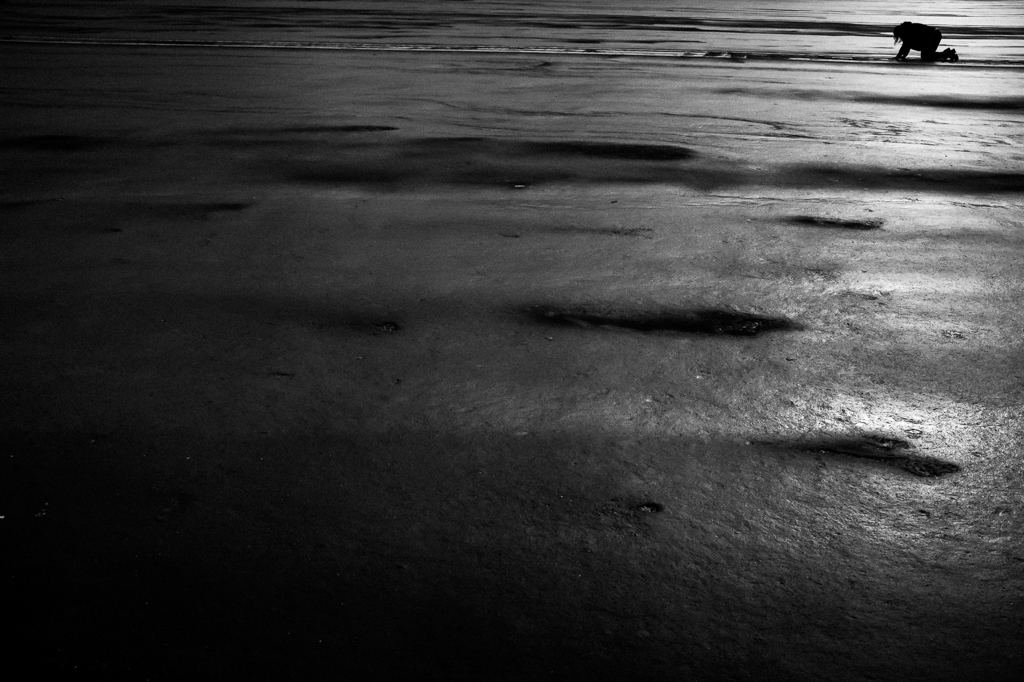 Febrero 2016. La foto de Cesc Giralt